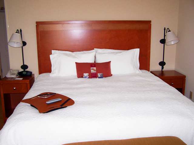 Hampton Inn Enterprise Rum bild